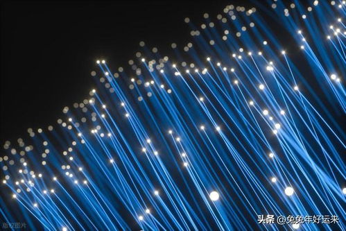 光電新風口 四強角逐，誰將引領光纖漲價下的投資熱潮？